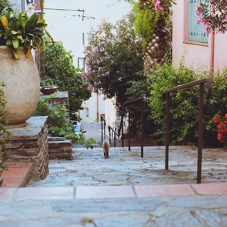 Regina's - View 아파트 *