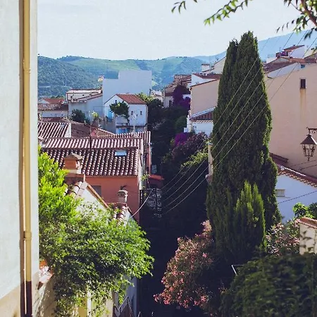 Regina's - View * Banyuls-sur-Mer